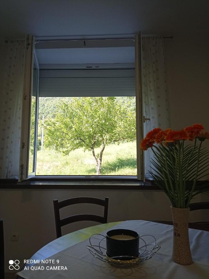 Studio Apartman Sonja Otočac Zewnętrze zdjęcie